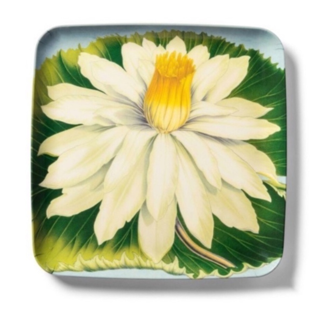 NWT Square Serving Tray Floral John Derian Target